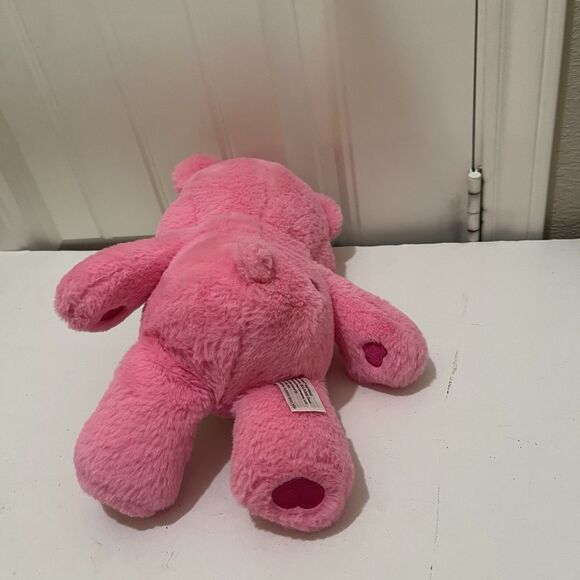 Care Bears CHEER BEAR Plush Stuffed Animal Rainbow Pink 13" Toy 2020 - Picture 6 of 10